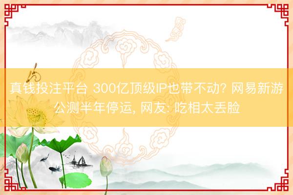 真钱投注平台 300亿顶级IP也带不动? 网易新游公测半年停运, 网友: 吃相太丢脸