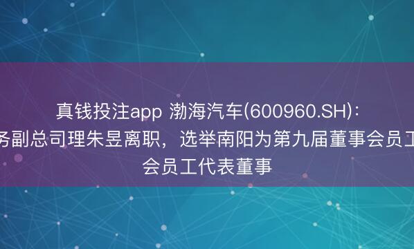 真钱投注app 渤海汽车(600960.SH):董事兼常务副总司理朱昱离职,选举南阳为第九届董事会员工代表董事