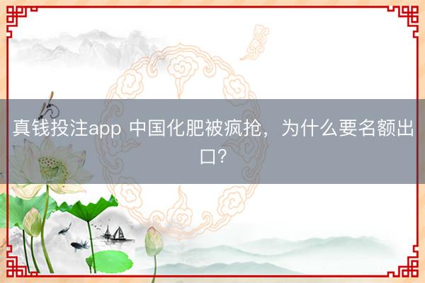 真钱投注app 中国化肥被疯抢,为什么要名额出口?