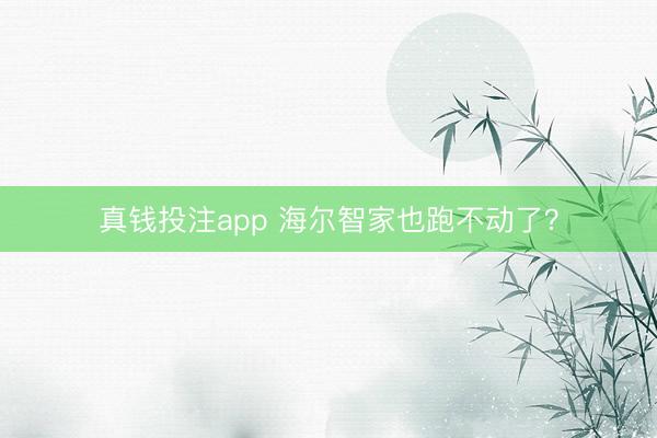 真钱投注app 海尔智家也跑不动了？