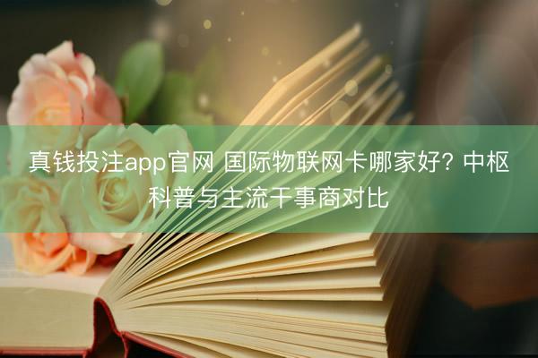 真钱投注app官网 国际物联网卡哪家好? 中枢科普与主流干事商对比