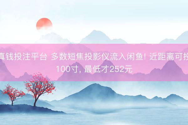 真钱投注平台 多数短焦投影仪流入闲鱼! 近距离可投100寸， 最低才252元