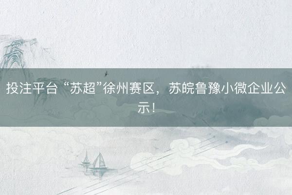 投注平台 “苏超”徐州赛区,苏皖鲁豫小微企业公示!