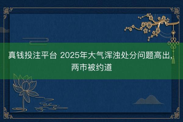 真钱投注平台 2025年大气浑浊处分问题高出， 两市被约道