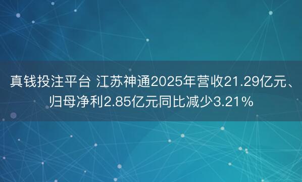 真钱投注平台 江苏神通2025年营收21.29亿元、归母净利2.85亿元同比减少3.21%