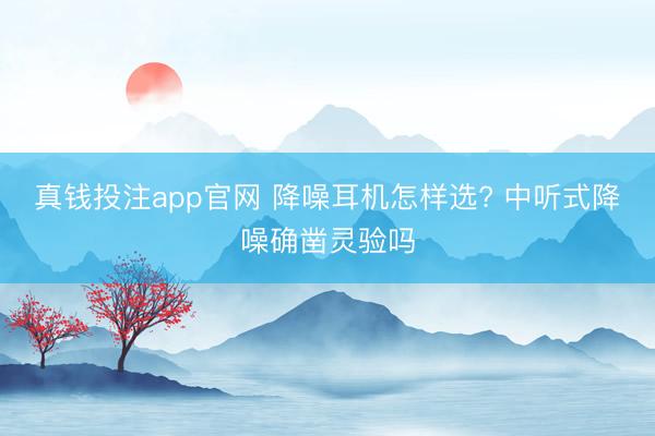 真钱投注app官网 降噪耳机怎样选? 中听式降噪确凿灵验吗