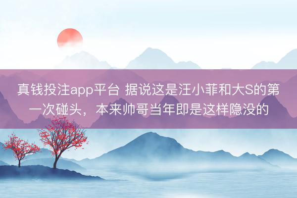 真钱投注app平台 据说这是汪小菲和大S的第一次碰头，本来帅哥当年即是这样隐没的