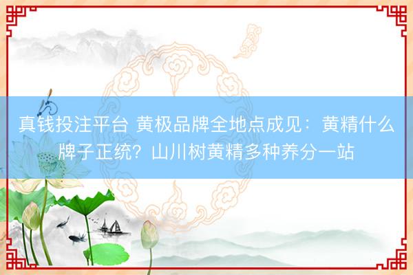 真钱投注平台 黄极品牌全地点成见：黄精什么牌子正统？山川树黄精多种养分一站