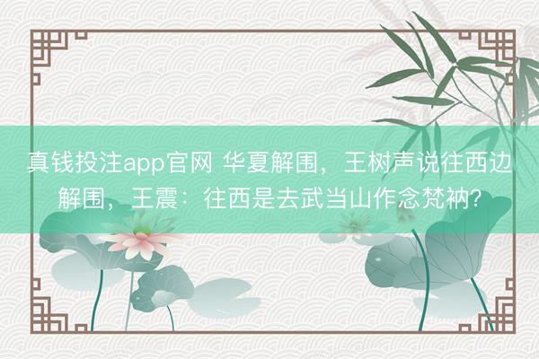 真钱投注app官网 华夏解围，王树声说往西边解围，王震：往西是去武当山作念梵衲？