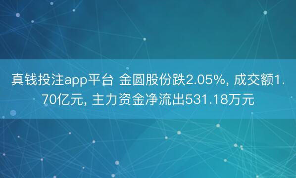 真钱投注app平台 金圆股份跌2.05%， 成交额1.70亿元， 主力资金净流出531.18万元