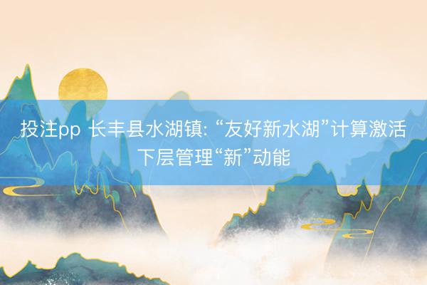 投注pp 长丰县水湖镇: “友好新水湖”计算激活下层管理“新”动能
