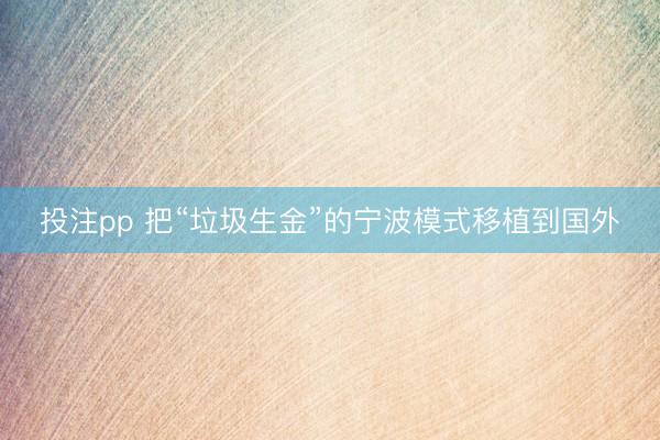 投注pp 把“垃圾生金”的宁波模式移植到国外