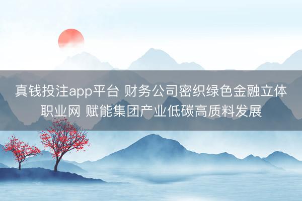 真钱投注app平台 财务公司密织绿色金融立体职业网 赋能集团产业低碳高质料发展