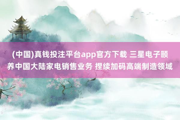 (中国)真钱投注平台app官方下载 三星电子颐养中国大陆家电销售业务 捏续加码高端制造领域