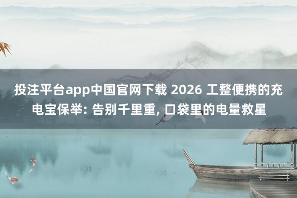 投注平台app中国官网下载 2026 工整便携的充电宝保举: 告别千里重， 口袋里的电量救星