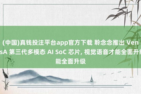 (中国)真钱投注平台app官方下载 聆念念推出 VenusA 第三代多模态 AI SoC 芯片， 视觉语音才能全面升级