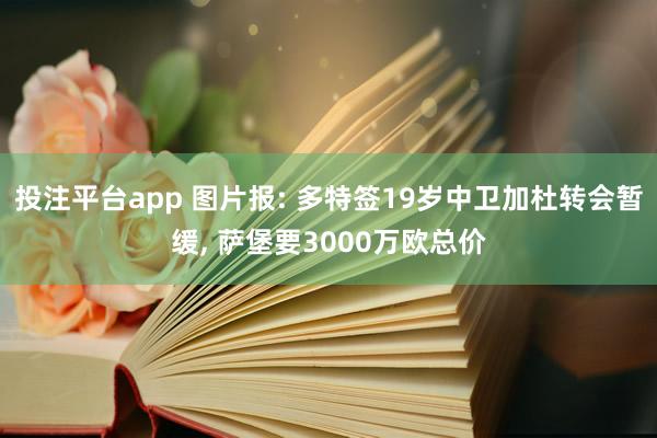 投注平台app 图片报: 多特签19岁中卫加杜转会暂缓， 萨堡要3000万欧总价