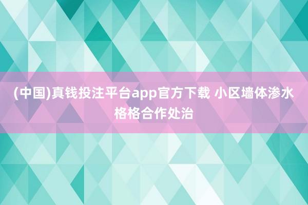(中国)真钱投注平台app官方下载 小区墙体渗水格格合作处治