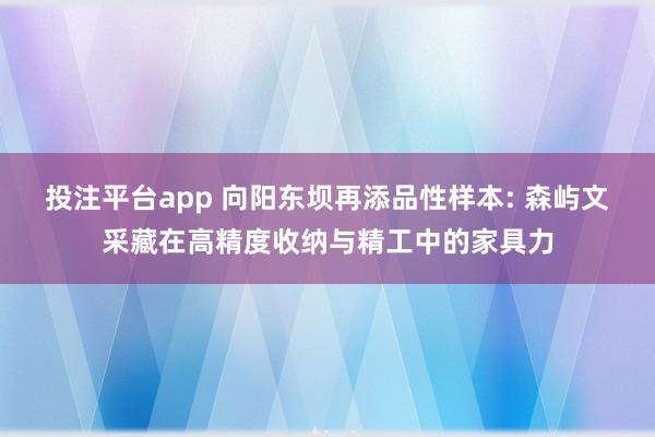 投注平台app 向阳东坝再添品性样本: 森屿文采藏在高精度收纳与精工中的家具力