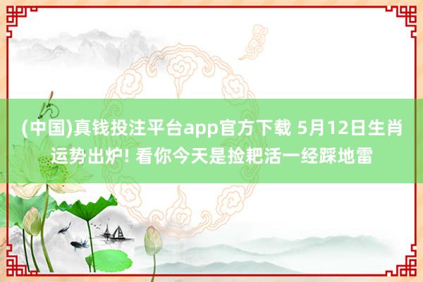 (中国)真钱投注平台app官方下载 5月12日生肖运势出炉! 看你今天是捡耙活一经踩地雷