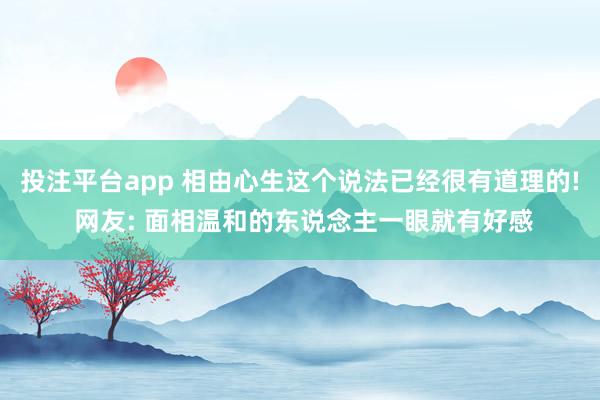 投注平台app 相由心生这个说法已经很有道理的! 网友: 面相温和的东说念主一眼就有好感