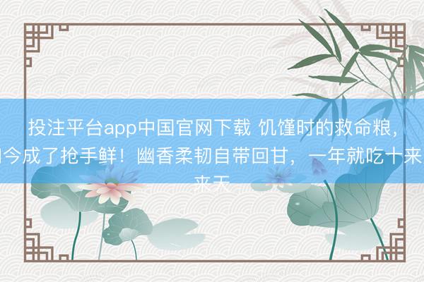 投注平台app中国官网下载 饥馑时的救命粮，如今成了抢手鲜！幽香柔韧自带回甘，一年就吃十来天
