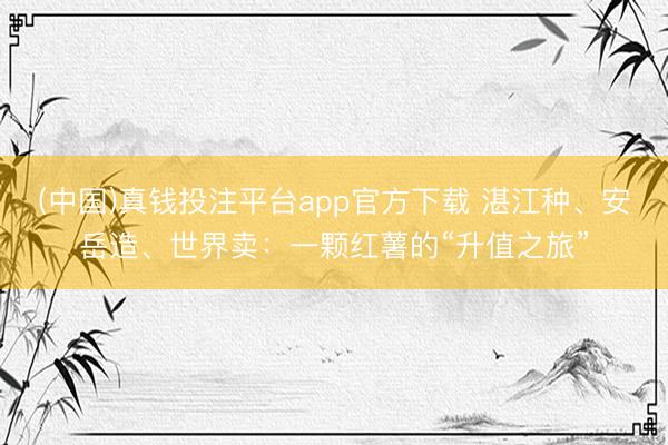 (中国)真钱投注平台app官方下载 湛江种、安岳造、世界卖：一颗红薯的“升值之旅”