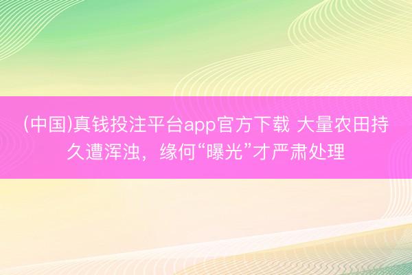 (中国)真钱投注平台app官方下载 大量农田持久遭浑浊，缘何“曝光”才严肃处理