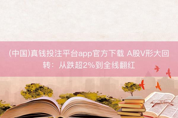(中国)真钱投注平台app官方下载 A股V形大回转：从跌超2%到全线翻红