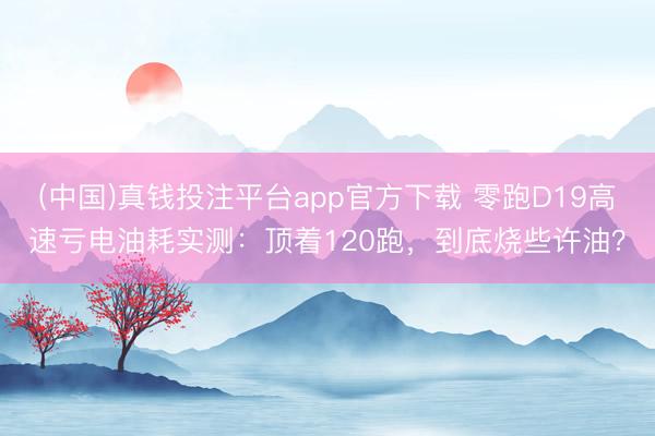 (中国)真钱投注平台app官方下载 零跑D19高速亏电油耗实测：顶着120跑，到底烧些许油？
