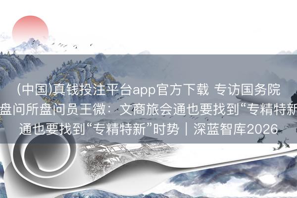 (中国)真钱投注平台app官方下载 专访国务院发展盘问中心市场经济盘问所盘问员王微：文商旅会通也要找到“专精特新”时势｜深蓝智库2026