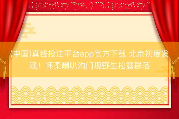 (中国)真钱投注平台app官方下载 北京初度发现！怀柔喇叭沟门现野生松露群落