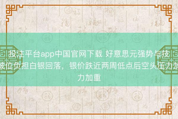 投注平台app中国官网下载 好意思元强势与技巧破位负担白银回落，银价跌近两周低点后空头压力加重