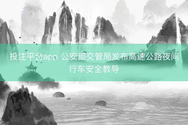 投注平台app 公安部交管局发布高速公路夜间行车安全教导