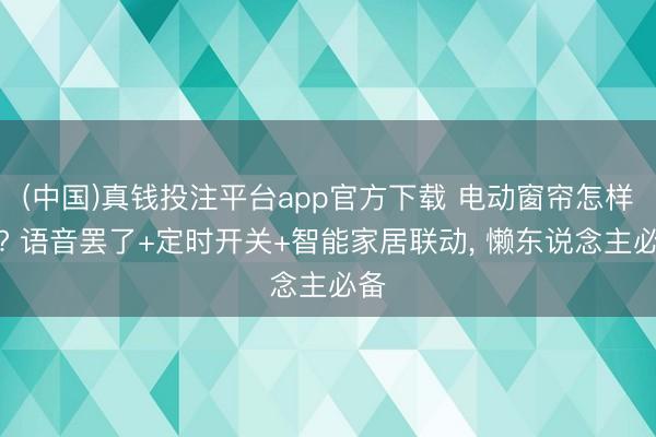 (中国)真钱投注平台app官方下载 电动窗帘怎样选? 语音罢了+定时开关+智能家居联动， 懒东说念主必备