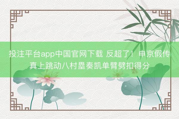 投注平台app中国官网下载 反超了！申京假传真上跳动八村塁奏凯单臂劈扣得分