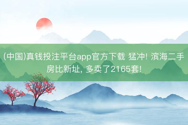 (中国)真钱投注平台app官方下载 猛冲! 滨海二手房比新址， 多卖了2165套!