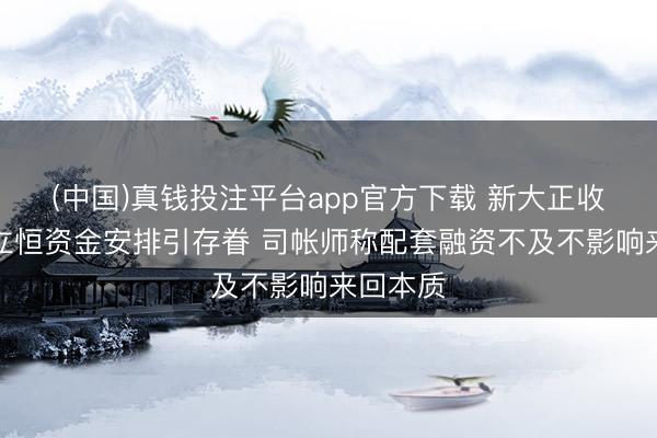 (中国)真钱投注平台app官方下载 新大正收购嘉信立恒资金安排引存眷 司帐师称配套融资不及不影响来回本质