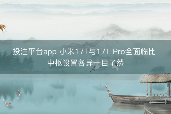 投注平台app 小米17T与17T Pro全面临比 中枢设置各异一目了然