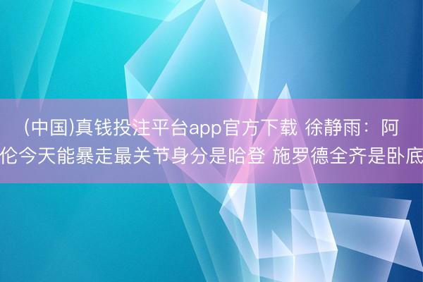 (中国)真钱投注平台app官方下载 徐静雨：阿伦今天能暴走最关节身分是哈登 施罗德全齐是卧底