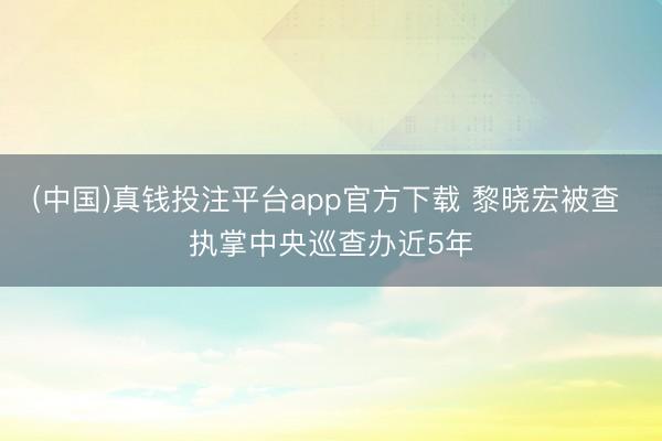(中国)真钱投注平台app官方下载 黎晓宏被查 执掌中央巡查办近5年