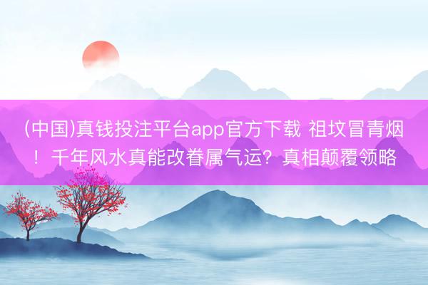 (中国)真钱投注平台app官方下载 祖坟冒青烟!千年风水真能改眷属气运?真相颠覆领略