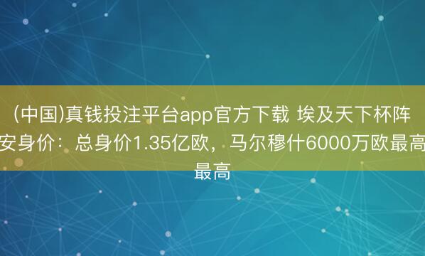 (中国)真钱投注平台app官方下载 埃及天下杯阵安身价：总身价1.35亿欧，马尔穆什6000万欧最高