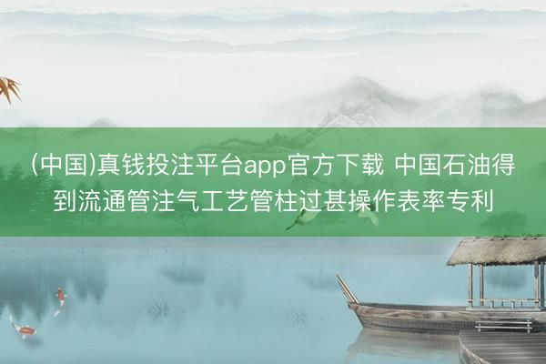 (中国)真钱投注平台app官方下载 中国石油得到流通管注气工艺管柱过甚操作表率专利