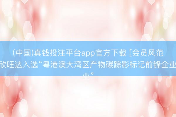 (中国)真钱投注平台app官方下载 [会员风范]欣旺达入选“粤港澳大湾区产物碳踪影标记前锋企业”