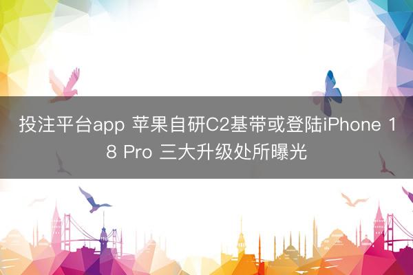 投注平台app 苹果自研C2基带或登陆iPhone 18 Pro 三大升级处所曝光