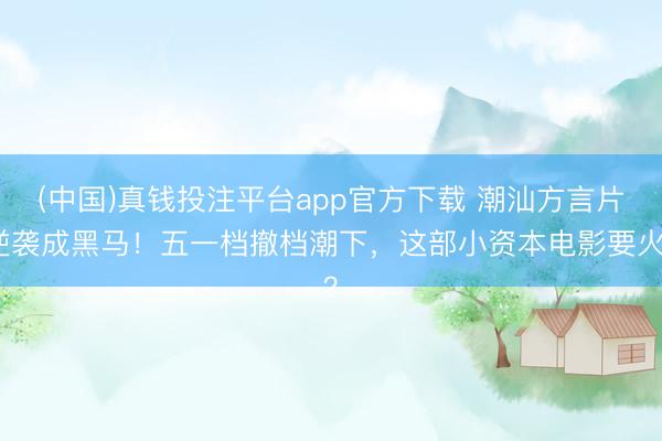 (中国)真钱投注平台app官方下载 潮汕方言片逆袭成黑马!五一档撤档潮下,这部小资本电影要火?