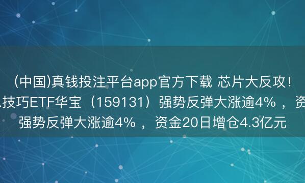 (中国)真钱投注平台app官方下载 芯片大反攻！鸿沟最大港股通讯息技巧ETF华宝（159131）强势反弹大涨逾4% ，资金20日增仓4.3亿元