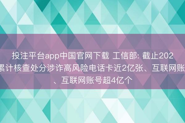 投注平台app中国官网下载 工信部: 截止2025年年底， 累计核查处分涉诈高风险电话卡近2亿张、互联网账号超4亿个