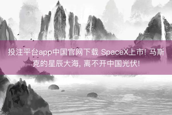 投注平台app中国官网下载 SpaceX上市! 马斯克的星辰大海， 离不开中国光伏!